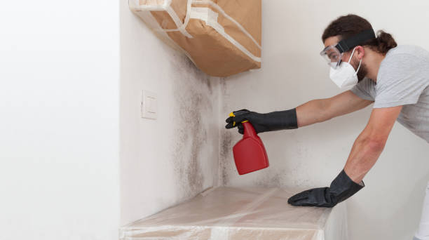 Professional Mold Testing technician working in Chesterfield, NJ