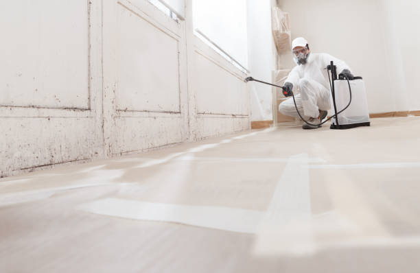 24/7 Emergency Mold Testing experts in Chesterfield, NJ