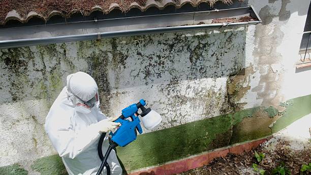 Trusted Bathroom Mold Removal service in Chesterfield, NJ - Cheap Mold Removal